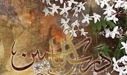 سریال جاده یاس