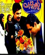 سریال ایرانی پاورچین